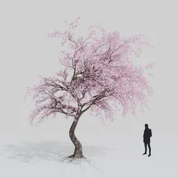Sakura Tree 01