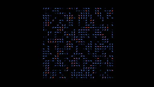 Vector Flow Grid