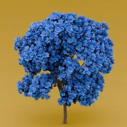 Blue flowered-dark purple leaved tree