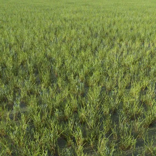 Realistic 3D grass clumps model for Blender, optimized for gaming, easily applicable to surfaces.