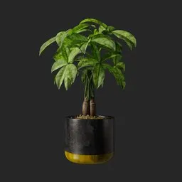 Realistic 3D chestnut plant model in pot with shiny trunk and detailed thin leaves optimized for Blender rendering.