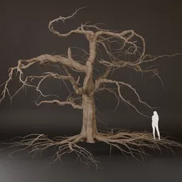 SJ-Barren Tree 3D Model