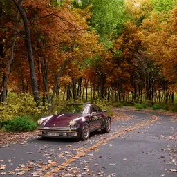 Euro 1978 Porsche 930 in autumn road