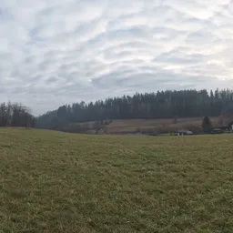 Hausdorf Meadow