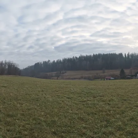 Hausdorf Meadow