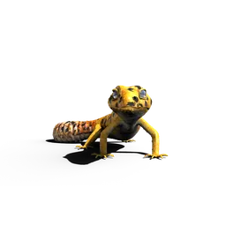 Leopard Gecko 3D Model