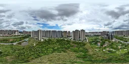 Building tree green forest