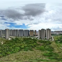 Building tree green forest