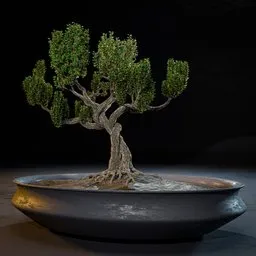Detailed 3D Blender model of a miniature bonsai tree in a traditional vase, showcasing intricate design and craftsmanship.