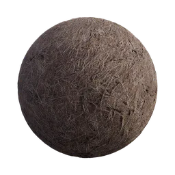 Dry Grass Field