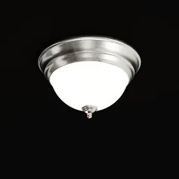 Flush Mount Ceiling Light