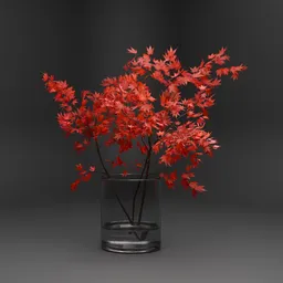 Japanese Red Maple Branch