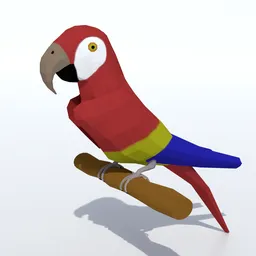 Low Poly Macaw Parrot