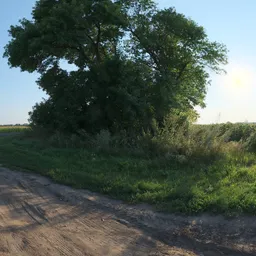 Rural Crossroads