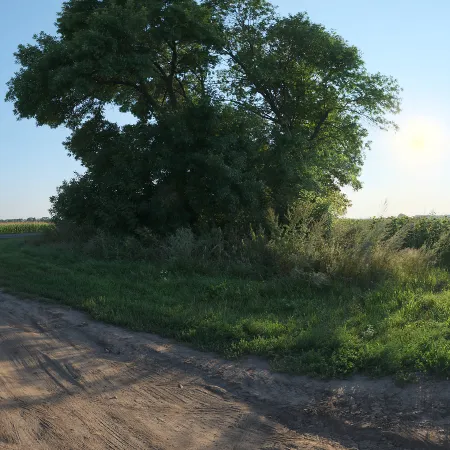 Rural Crossroads