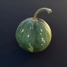 Squash Small