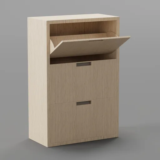 Shoe Organizer
