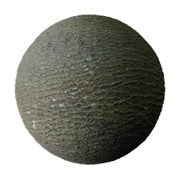 Mossy Lichen Flecked Elm Bark