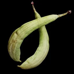 Fresh Ridge Gourd