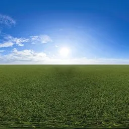 Green grass cloudy blue sky pure sky