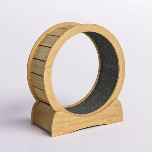 Cat wheel