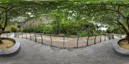 Under the shade of a cloudy tree