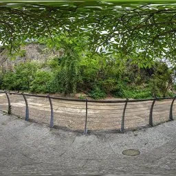 Under the shade of a cloudy tree