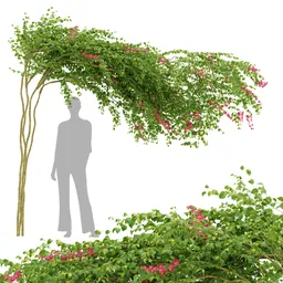 flower plant trellis