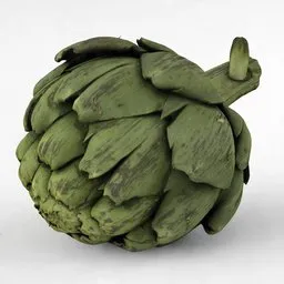 Artichoke vegetable green leaves food