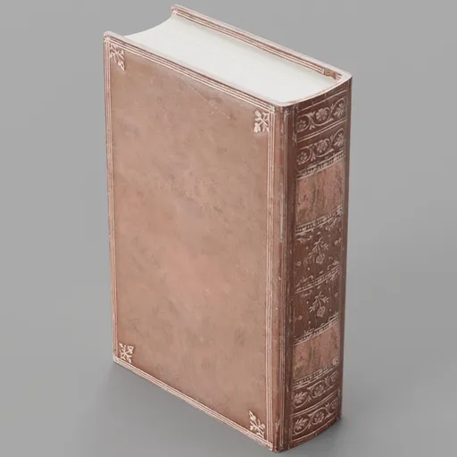 Old leather book