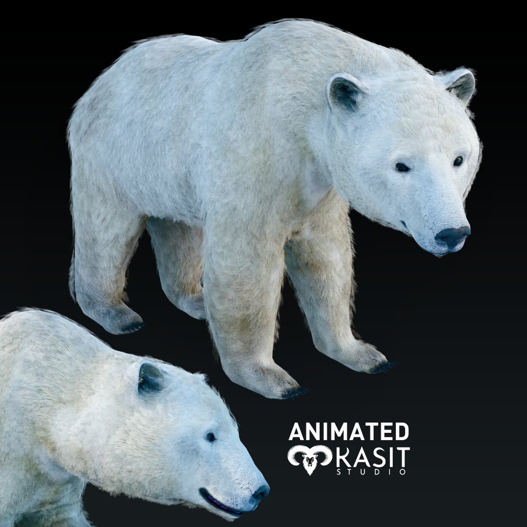Polar Bear Animated | Mammals models | Blendkit