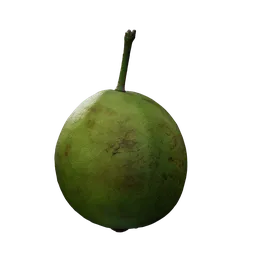 Psidium guajava