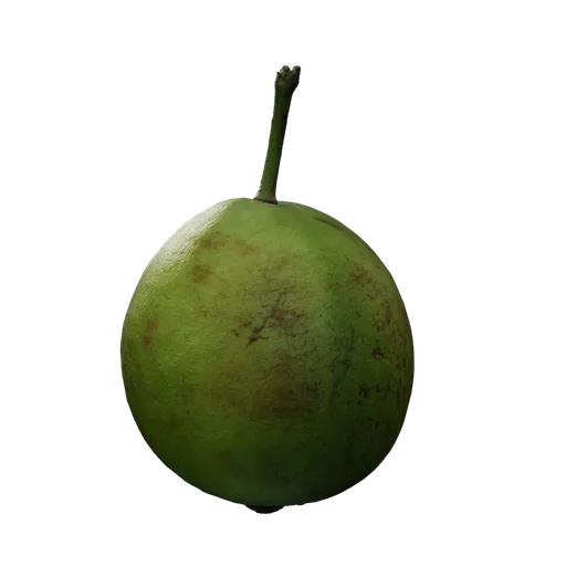 Psidium guajava