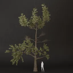 SJ-Green Canopy Pine Tree