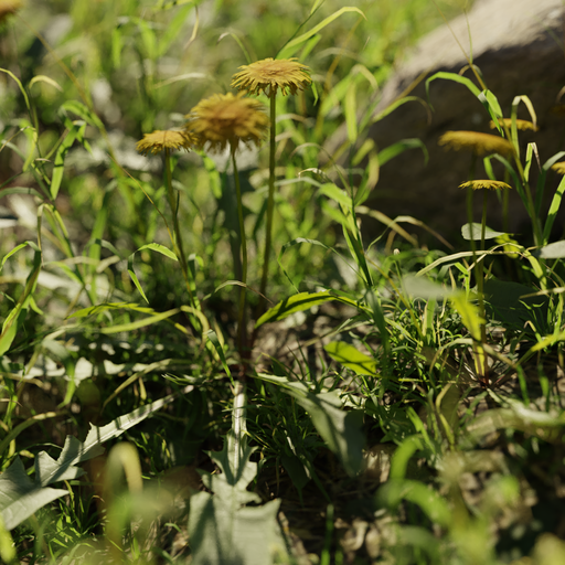 Thumbnail: Dandelions