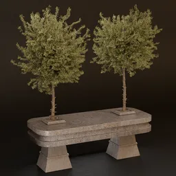 SJ- Concrete Nature Duo