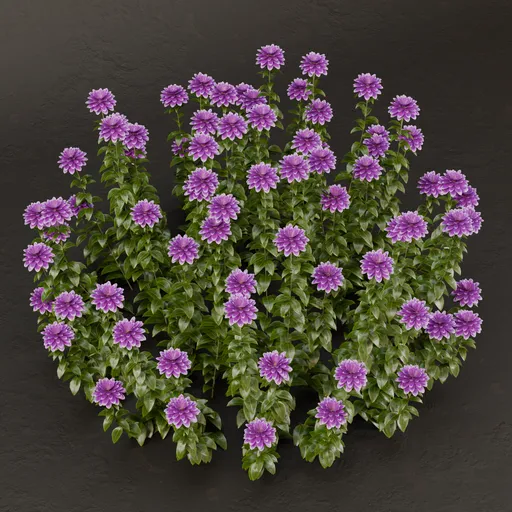 SJ-Botanical Bliss Bush