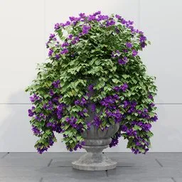 Purple Bougainvillea Urn