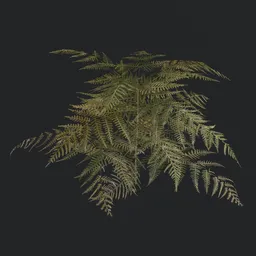 "Hyperrealistic 3D model of a Bush Bracken Fern in Blender 3D by Mārtiņš Krūmiņš. The fern features detailed 8k fabric textures and adds a touch of nature to your project with its aesthetic and botany-inspired design."