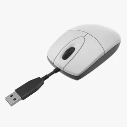 Computer Mouse