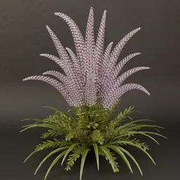 SJ-Mystic Garden Serenity Fern