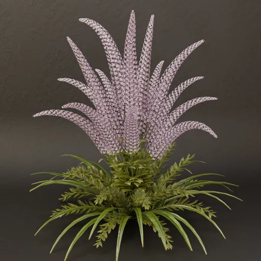 SJ-Mystic Garden Serenity Fern