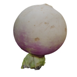 Turnips Scan