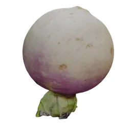 Turnips Scan