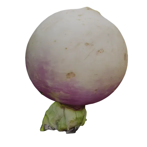 Turnips Scan