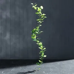 "Artificial garland Potos v2 3D model for Blender 3D - realistic indoor nature decor with upward reaching branches. Geometry nodes created using the Bagapie addon with permission of the author. Editable stem for personalized use."