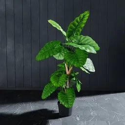 Alt text: "Artificial Colocasia Tree 140 cm - A detailed 3D model for Blender 3D, suitable for rendering in Lumion Pro. The plant is easily editable, with linked copy objects and the ability to rotate or delete leaves to fit into any scene."