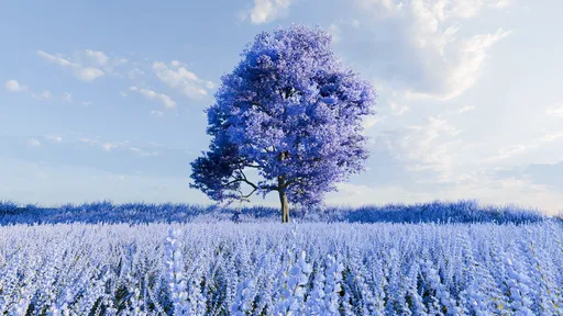 Purple Blossom Field