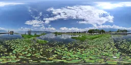 Highsky green tree Lotus