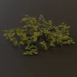 Ground Cover Grass Sml